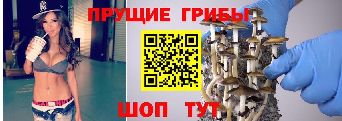 Псилоцибиновые грибы Magic Shrooms Великие Луки