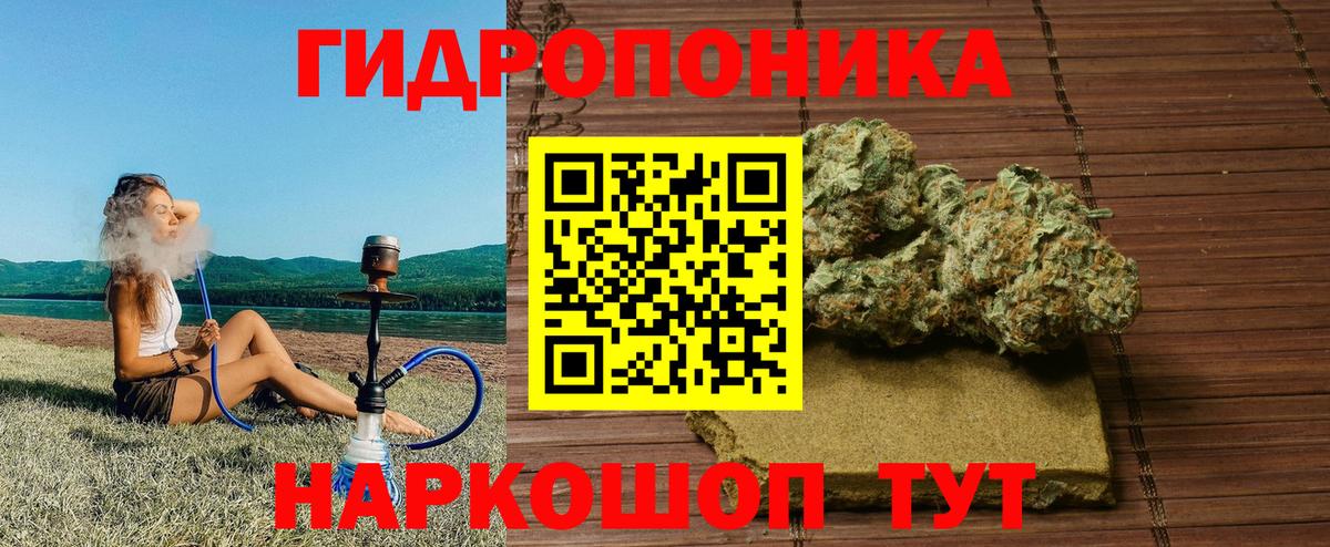 Великие Луки  Бошки марихуана планчик  Вход с VPN  МАРИХУАНА Bruce Banner 